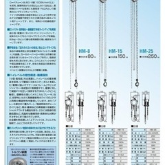 「お話し中」ホイストマン250㎏の画像