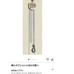 「お話し中」ホイストマン250㎏の画像