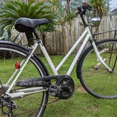 おしゃれなママチャリ
中古 6段式ギア付き 26インチ自転車
カスタム車両
#千葉
#SHIMANO equipped bike
#MF-TZ20 マルチプルフリーホイール（6S）の画像
