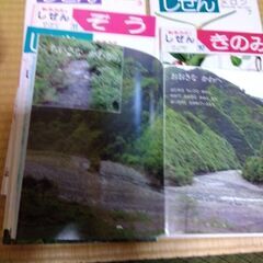 キンダーブック　7冊の画像