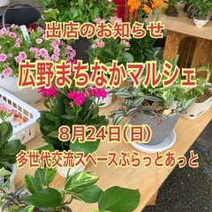8/24広野 まちなかマルシェ