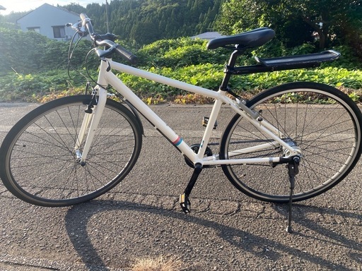 ブリジストン　オルディナ F5B　カスタム