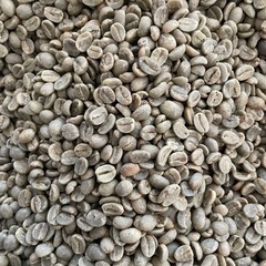 コーヒー生豆　コロンビア　スプレモ　400gの画像