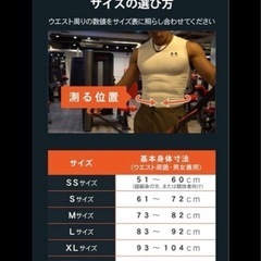 ガードナーベルトの画像