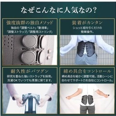 ガードナーベルトの画像