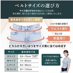 ガードナーベルトの画像