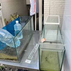 32、45、60、90センチ水槽販売しますの画像