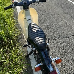カブの画像