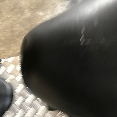 シグナス2型シートの画像