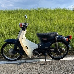 カブの画像