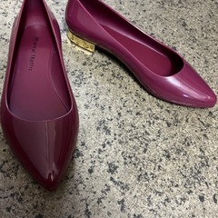 レインシューズの画像