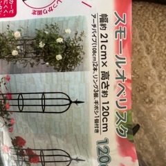 庭用オベリスクの画像