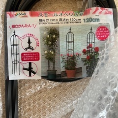 庭用オベリスクの画像