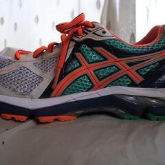 asics（アシックス） LADY GT-2000 NEW YORKの画像