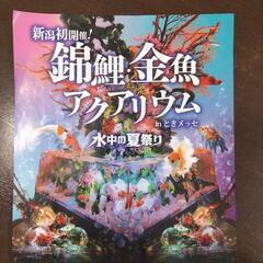 入場券 金魚アクアリウム  中高生の画像