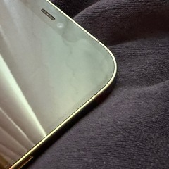 iPhone 12 Pro Max本体の画像