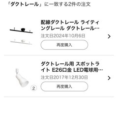 ダクトレール　スポットライト2個の画像