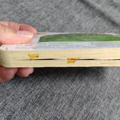 はらぺこあおむし　仕掛け絵本の画像