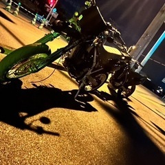 dトラッカー250の画像