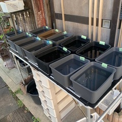 メダカ無人販売 - 各務原市