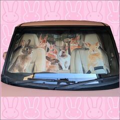 かわいいうさぎのサンシェード①の画像