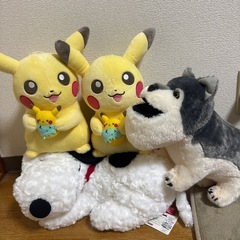 ぬいぐるみの画像