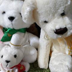 新品　くまのぬいぐるみセットの画像
