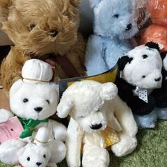 新品　くまのぬいぐるみセットの画像