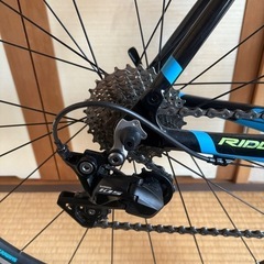 リドレーフェニックス2018の画像