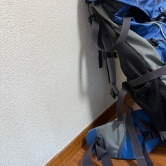 【8/16.17限定】リュックの画像