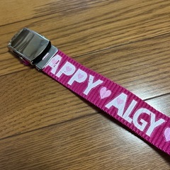 ALGY ベルト　の画像