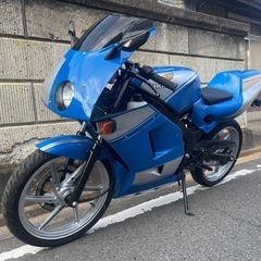NS-1後期型　レストア車　カスタム多　実働書有　関東圏内配達無料の画像