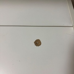 ローPCデスクの画像