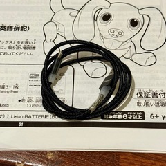Hello! Zoomer ハロー！ズーマー ミニチュアダックス ホワイトの画像