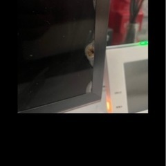 テレビ85V ジャンクの画像