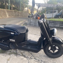 VOX50【380】の画像