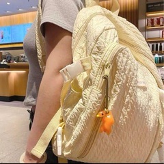 紫外線で変色ダック2個の画像