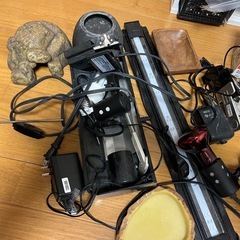 終了❗️受け渡し者様決定致しました。爬虫類、淡水魚飼育器具諸々の画像