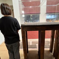 アクリル水槽（９０×４５×４５）※必要な方は自作の水槽台も差し上げますの画像