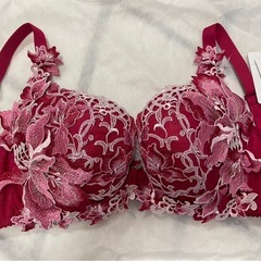 サルート限定下着、現在非売品の画像