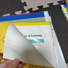 英語教育 本の画像
