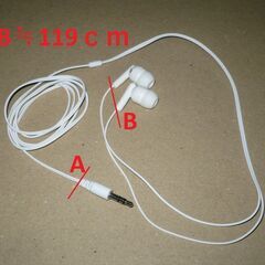 使い捨てイヤホン（1時間弱使用）の画像