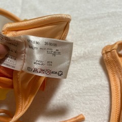 パレオ付きビキニの画像