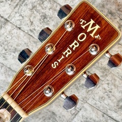 TF・Morris「W-80」スプルース単板アコースティックギターの画像