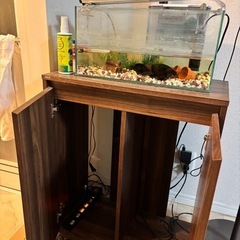60cm 水槽と台の画像