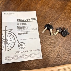 ブリヂストン シュライン SHL47 24インチ 子供用 自転車 通学 街乗り 【11072269】の画像
