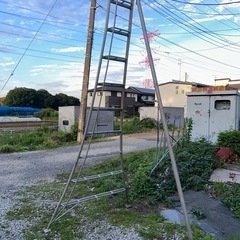 園芸用はしご、長さ約3400mm、上部長さ340mm、下部長さ1350mm、10段、アルミ製千葉県柏市から
の画像