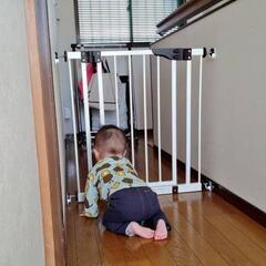 ベビーゲートの画像
