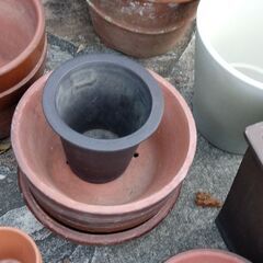 植木鉢の画像