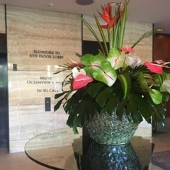 ハワイ留学したい・したことある人💜🌺